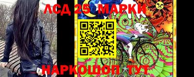 стаф Будённовск