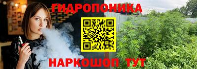 стаф Будённовск