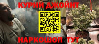 стаф Будённовск
