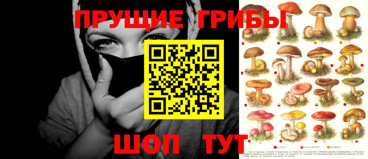 Галлюциногенные грибы MAGIC MUSHROOMS Старая Купавна